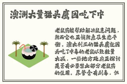 黄污点四叶草视频网站在线免费看。